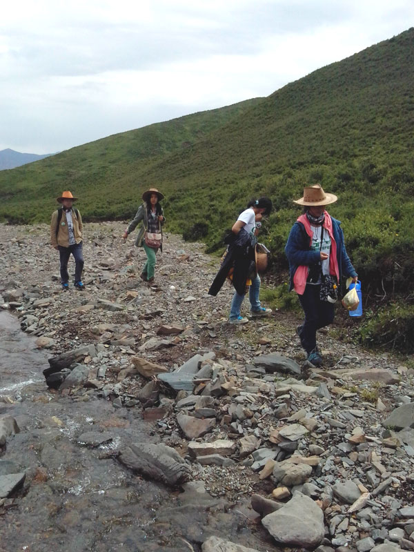 7��22�����m�ݴ�W�Gɫ�I�F꠹������c����?q��)����{(di��o)����꠆T������?sh��)ص��������f�ֲ����݈���r������ι�B(y��ng)���h(hu��n)��׃���ȷ����M���˴��µ��˽����D��꠆T���ڮ�?sh��)��M��ֲ����R������