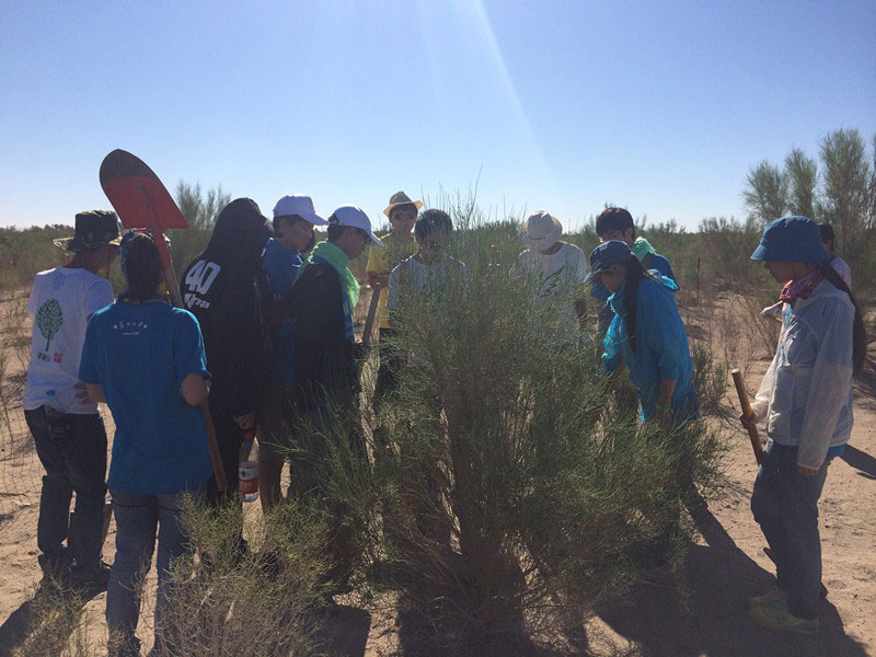 ������Ҫ��һ���ļ��ɺͽ�(j��ng)�(y��n)��ͬ�W(xu��)���_(k��i)ʼ������һƬ�����ַ��ز����^�m(x��)�����[�ص�����