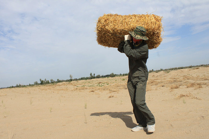 �F�T���i�������ݣ����ϳ����������������؟����