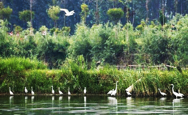 ͯԒ�ϼң���������Ԋ�����Ϙ���f����