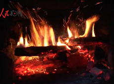 �t��t����~����������ʳ���ρ�