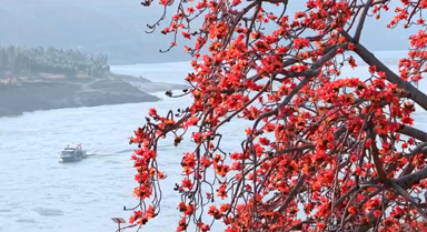 攀枝花長啥樣？到攀枝花去看看