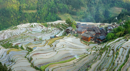 貴州從江：梯田如鏡