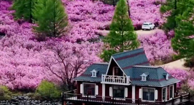 解鎖內(nèi)蒙古夏日頂配美景
