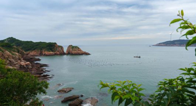 山海相逢 向新霞浦